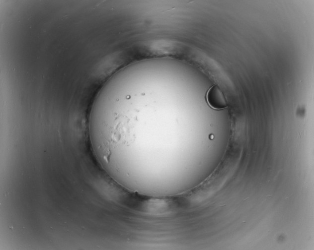 X0000103970418200809191539