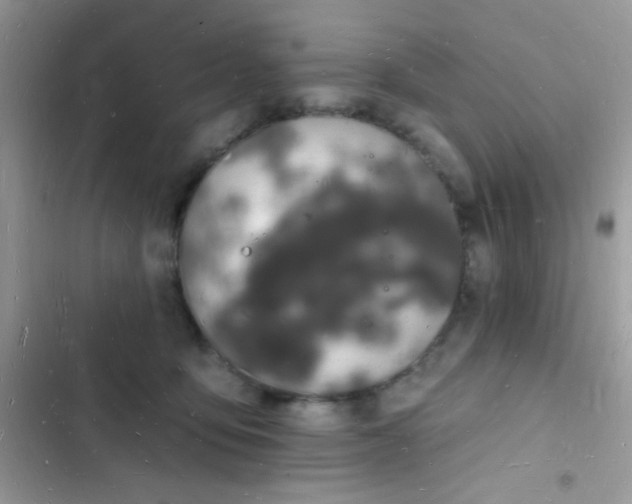 X0000103970419200809191539