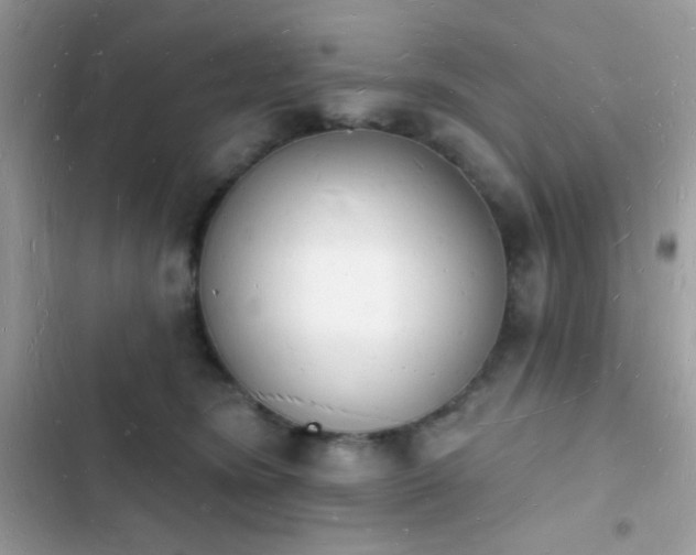 X0000103970420200809191539