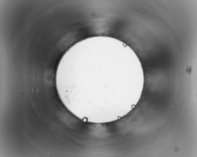 X0000103970421200809191539