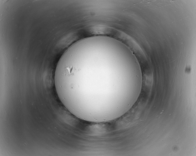 X0000103970422200809191539