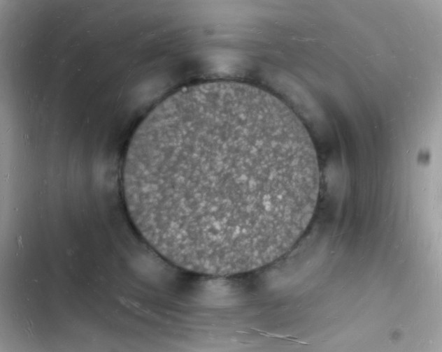 X0000103970423200809191539