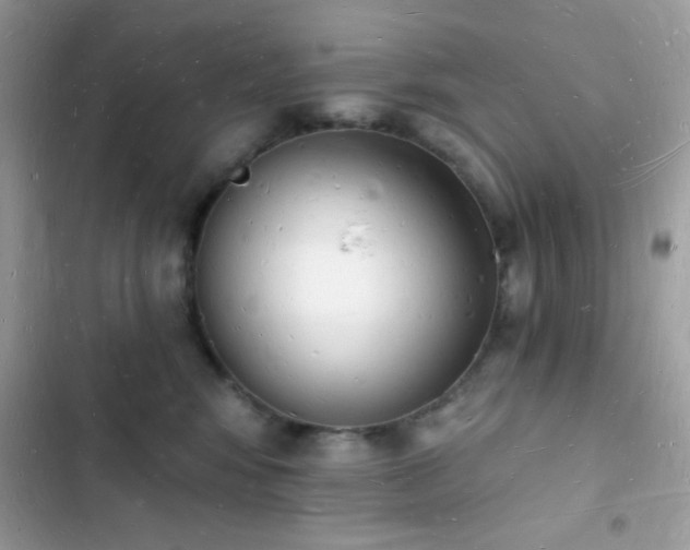 X0000103970424200809191539