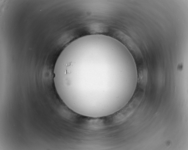 X0000103970426200809191539