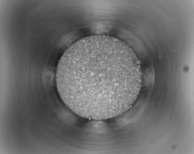 X0000103970427200809191539