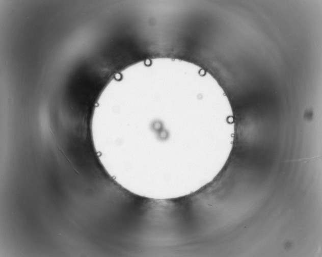 X0000103970429200809191539