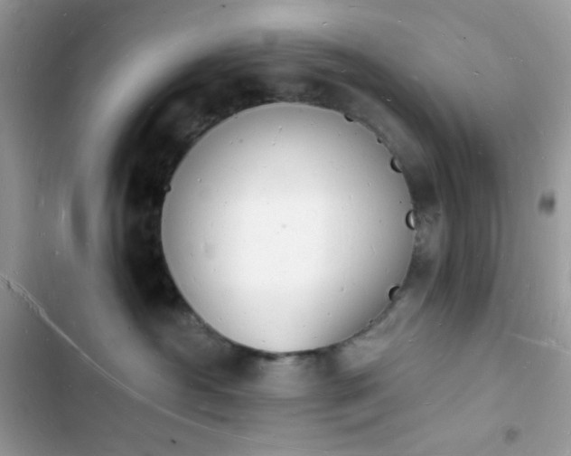 X0000103970430200809191538