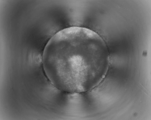 X0000103970431200809191538