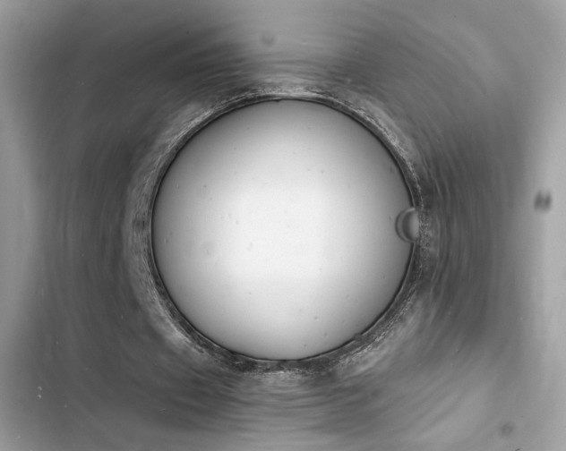 X0000103970433200809191538