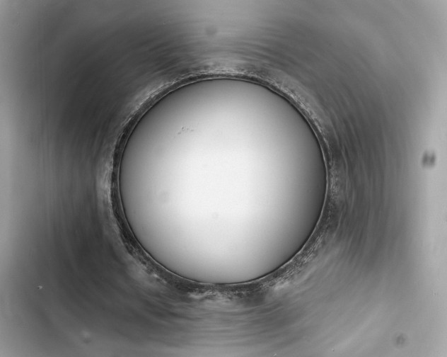 X0000103970434200809191538