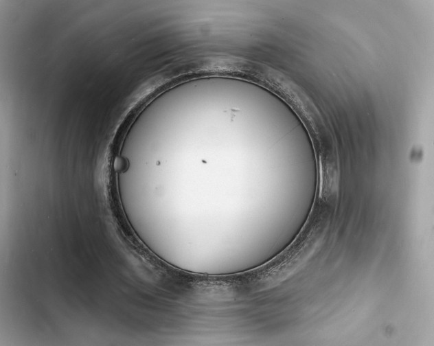 X0000103970435200809191538