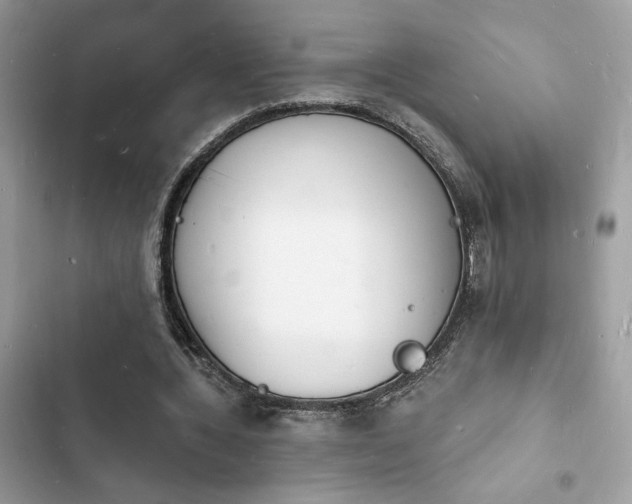 X0000103970436200809191538