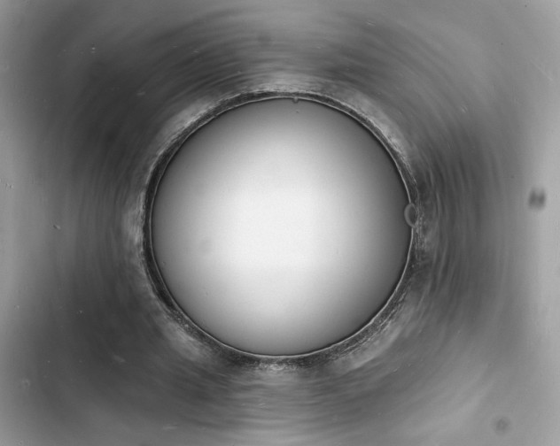 X0000103970437200809191538