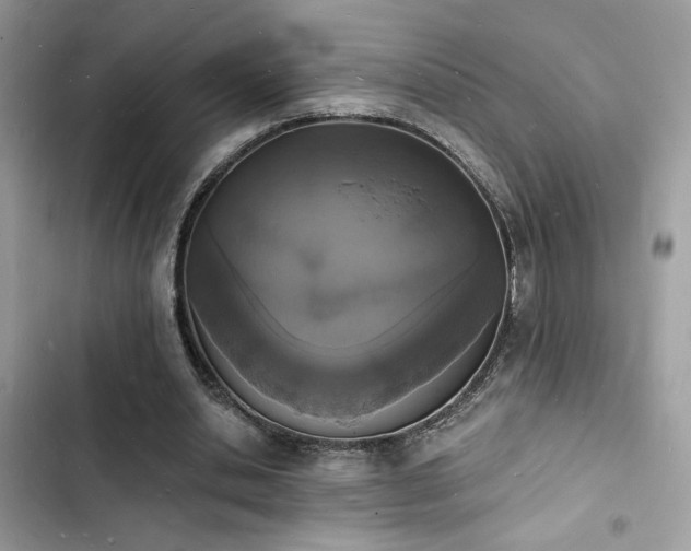 X0000103970438200809191538