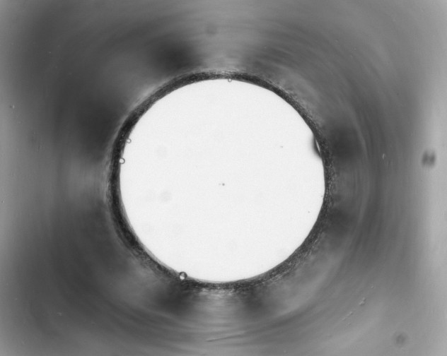 X0000103970440200809191538