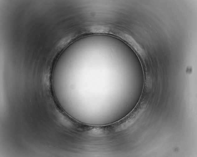 X0000103970441200809191538