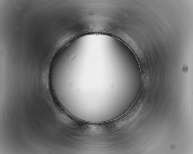 X0000103970442200809191538