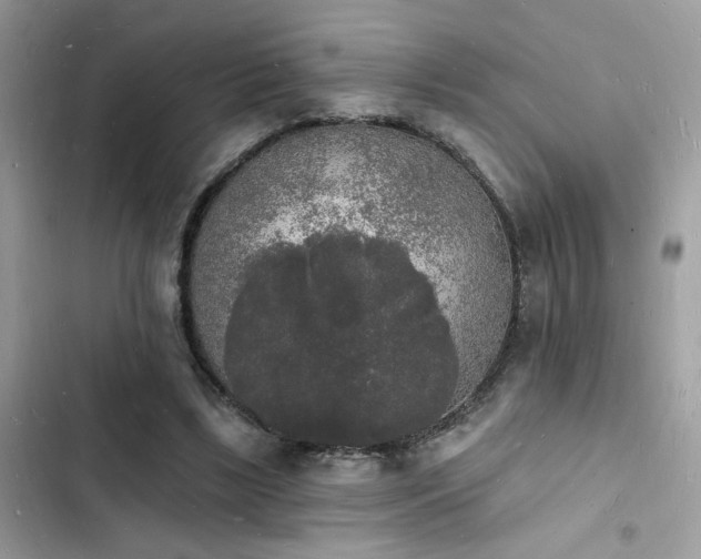 X0000103970443200809191538