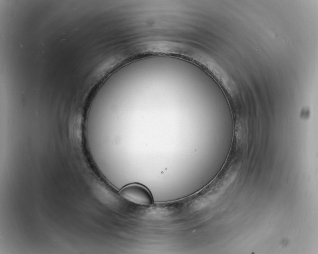 X0000103970445200809191538