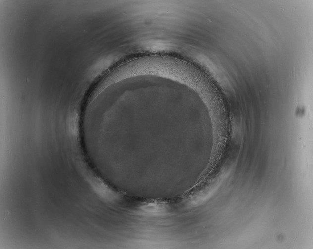 X0000103970447200809191538