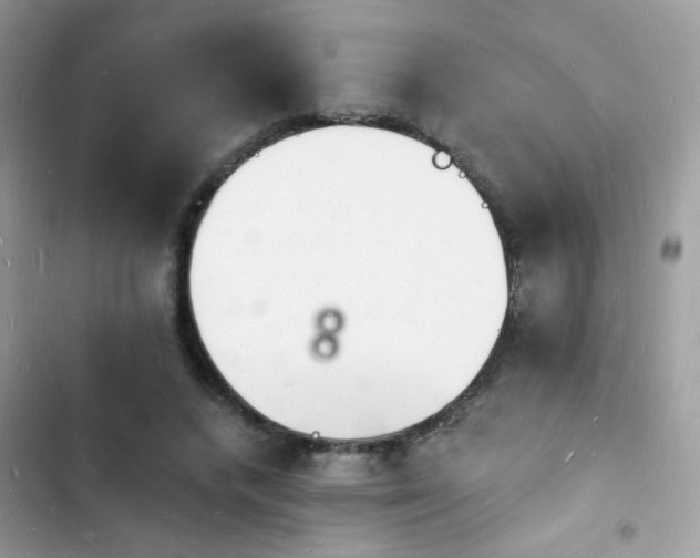 X0000103970448200809191538