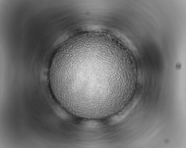 X0000103970449200809191538