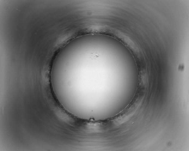 X0000103970450200809191538