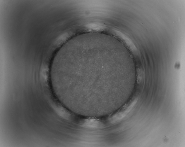 X0000103970451200809191538