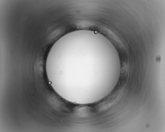 X0000103970452200809191538