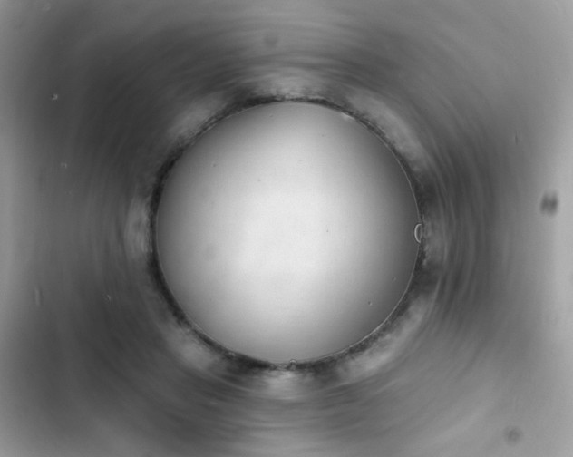 X0000103970453200809191538