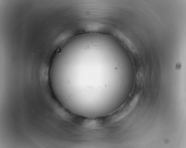 X0000103970454200809191538