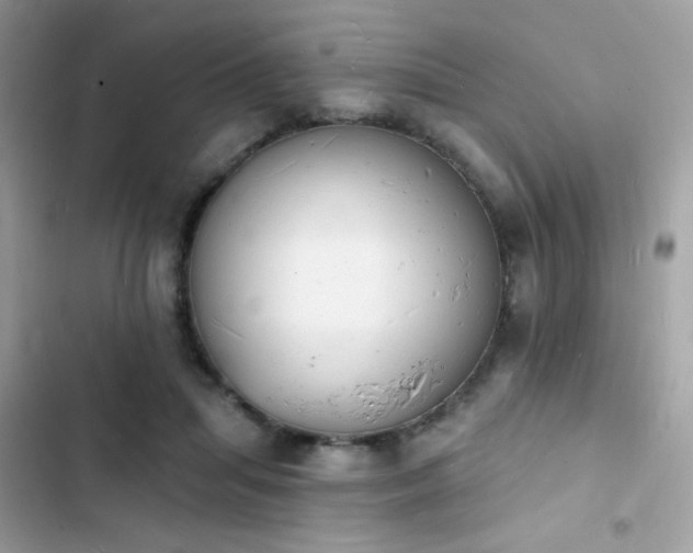 X0000103970455200809191538