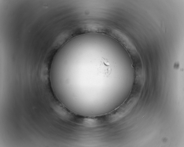 X0000103970457200809191538