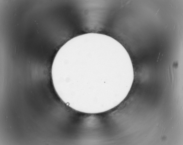 X0000103970460200809191538