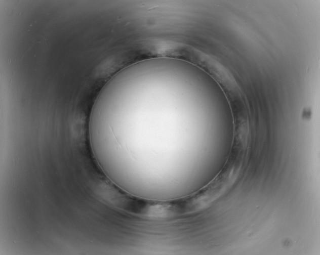 X0000103970461200809191538