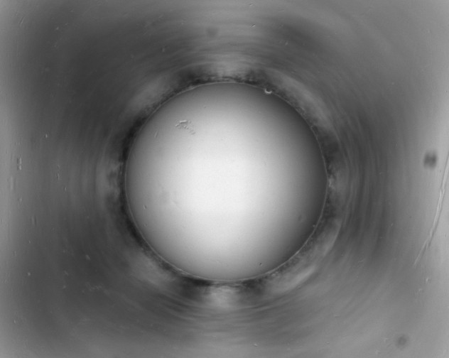 X0000103970462200809191538