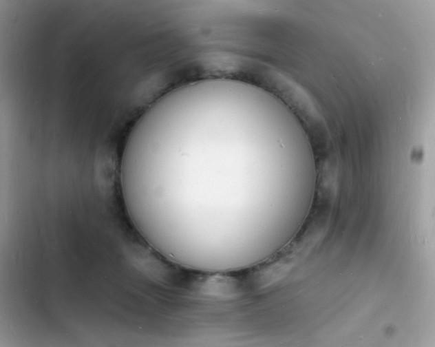 X0000103970463200809191538