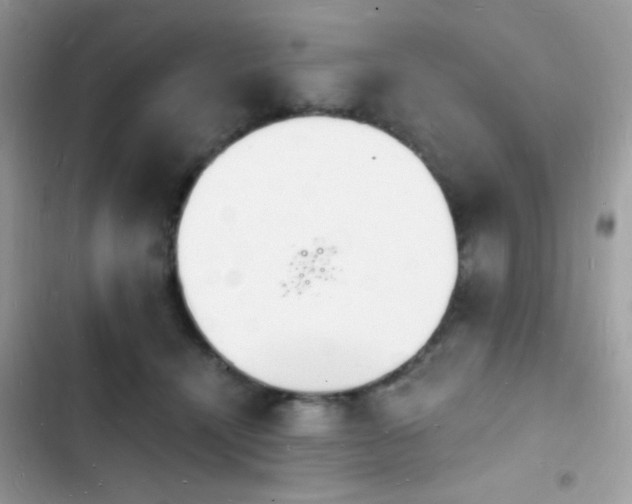 X0000103970464200809191538