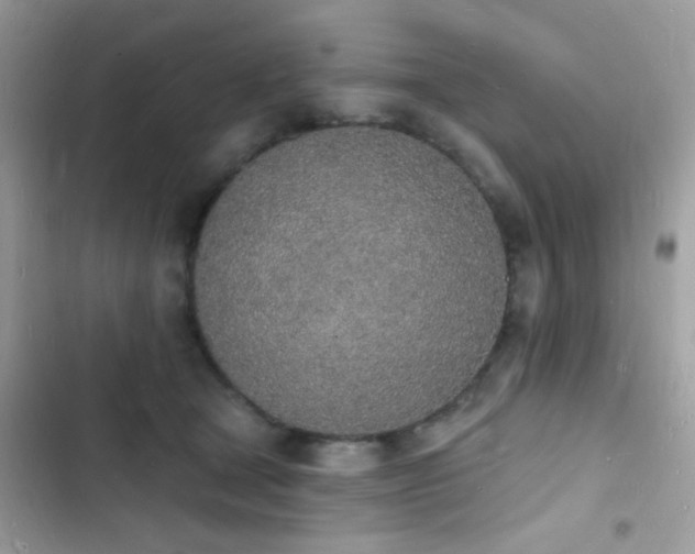 X0000103970465200809191538