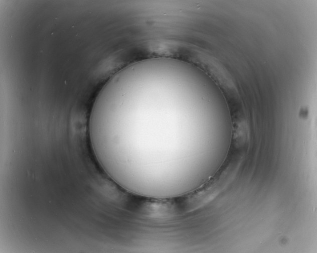 X0000103970466200809191538