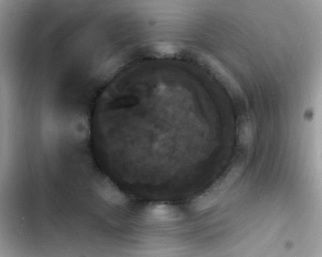 X0000103970467200809191538