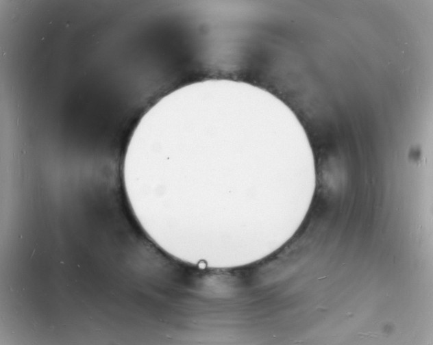 X0000103970468200809191538