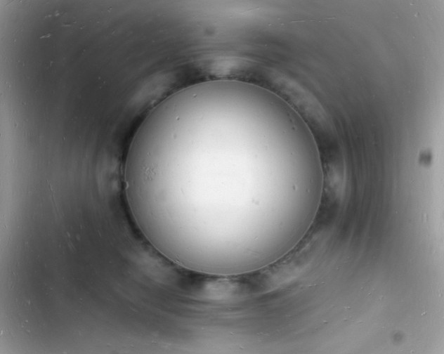 X0000103970470200809191538