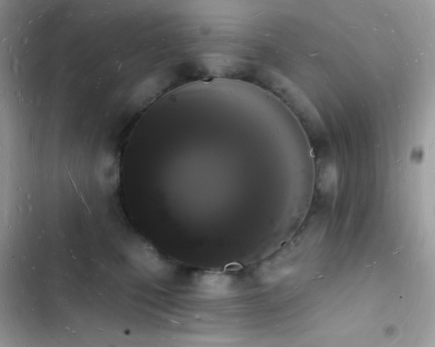 X0000103970471200809191538