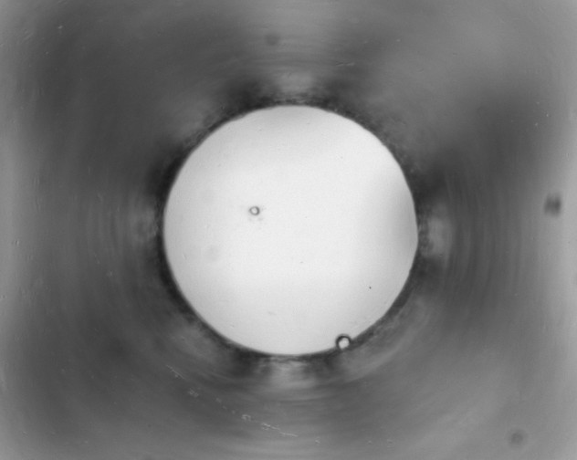 X0000103970472200809191538