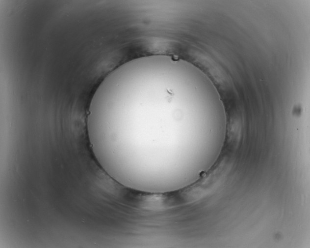 X0000103970473200809191538