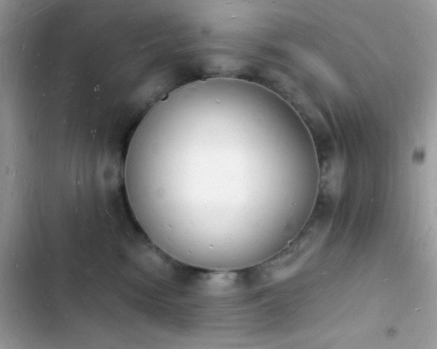 X0000103970474200809191538