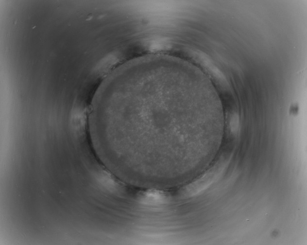 X0000103970475200809191538