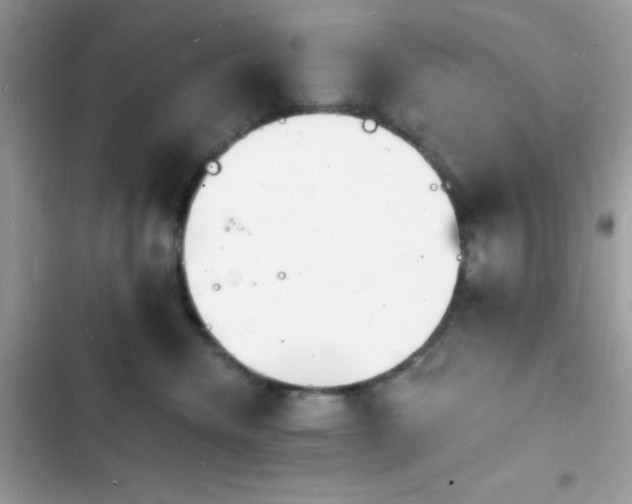 X0000103970476200809191538