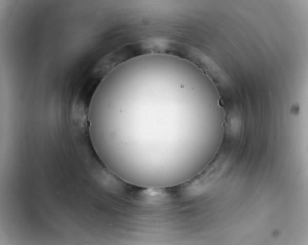 X0000103970477200809191538